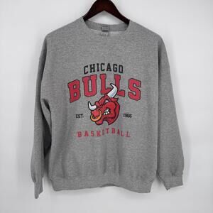 Chicago Bulls Sweatshirt Mens XL Gray NBA Basketball Gildan Heavy Blend Crewneck